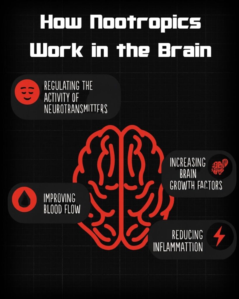 What Is a Nootropic? The Hidden Key to Sharper Thinking 1 how-nootropic-work-in-the-brain-tony-huge
